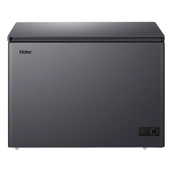Chest Freezer 301L